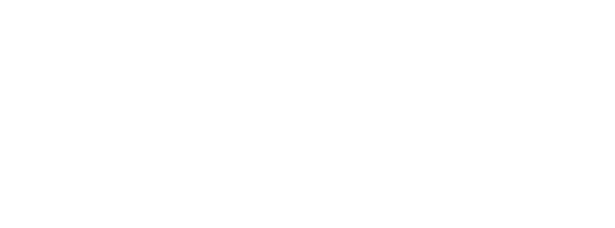 Executive Programs Logo